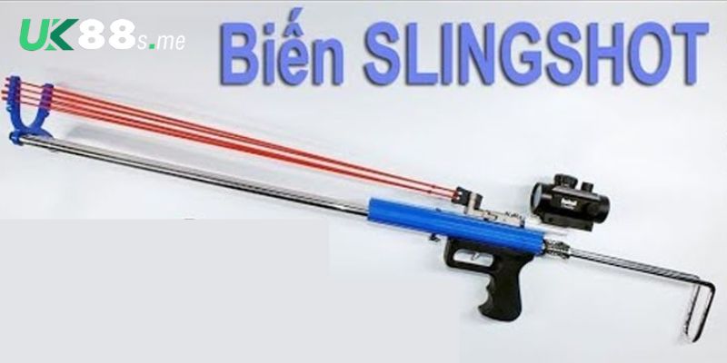 Tổng hợp các loại Slingshot bắn cá phổ biến nhất