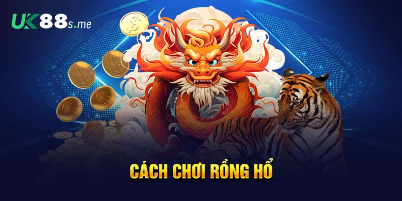 Hướng dẫn chơi rồng hổ chi tiết newbie cần biết