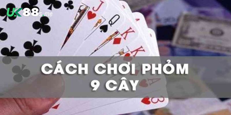 Quy tắc đánh phỏm 9 lá cơ bản nhất